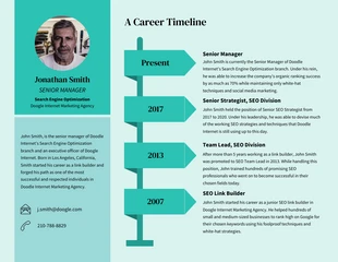 premium  Template: Career Timeline Infographic Template