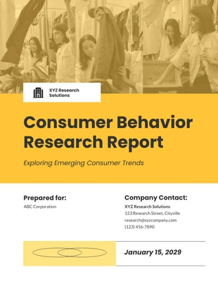 premium  Template: Consumer Behavior Research Report Template