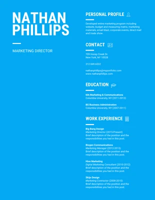 premium  Template: Bold Blue Marketing Director Resume Template