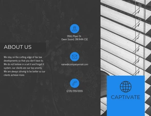 business  Template: Business Tri Fold Brochure Template