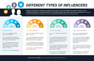 business  Template: Influencer Marketing Types Comparison Infographic Template