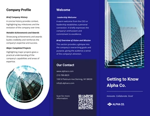 business interactive Template: Corporate Tri-fold Dynamics Solutions Brochure Template