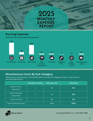 premium  Template: Clean Expense Report Template