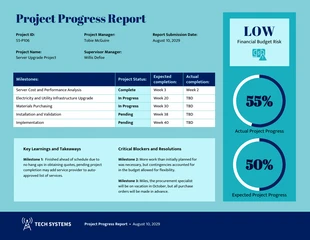 premium  Template: Editable Project Progress Report Template