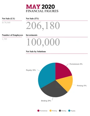 business  Template: Monthly Financial Report Template