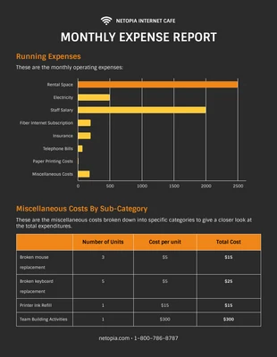 premium  Template: Simple Expense Report Example Template