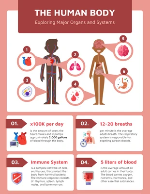 Free  Template: Human Body Major Organs and Systems Infographic Template