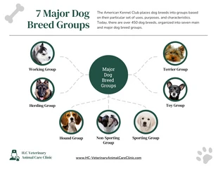 Free  Template: Dog Breed Groups Bubble Map Template