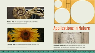 Colorful Golden Ratio Pattern Math Presentation - Page 4