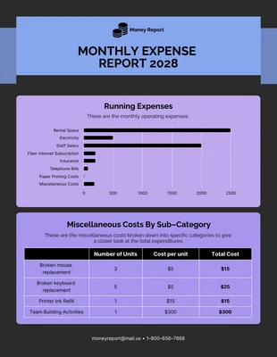 premium  Template: Sample Small Business Expense Report Template