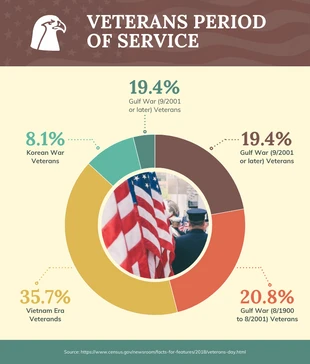 premium  Template: Veterans Period of Service Pie Chart Template