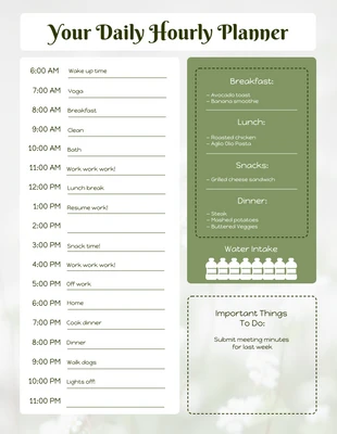 Free  Template: Daily Hourly Schedule Template