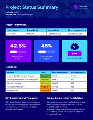 premium  Template: Project Summary Template