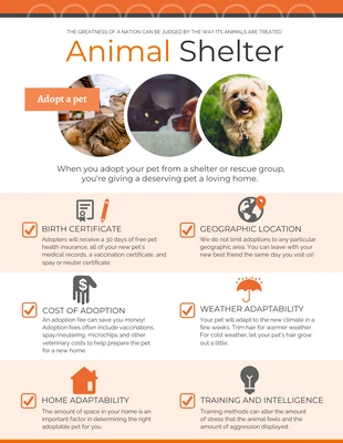 premium  Template: Animal Shelter Examples Infographic Template