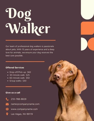 Free  Template: Matterhorn Dog Walking Flyer Template