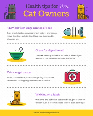 Free  Template: Health Tips For New Cat Owners Infographic Template