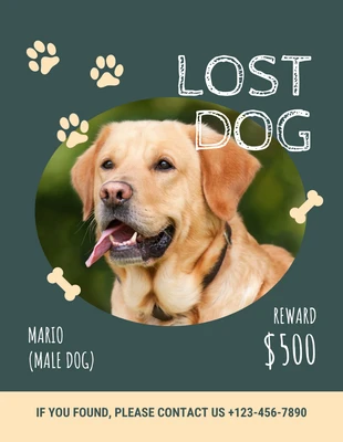 Free  Template: Mineral Green Lost Dog Flyer Template