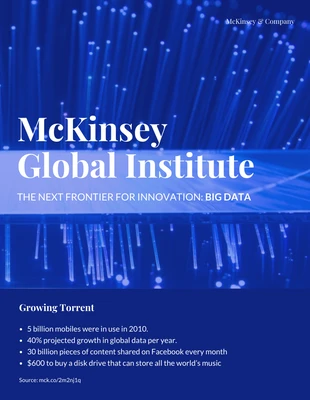 Free  Template: McKinsey Consulting Report Template