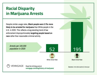 premium  Template: Racial Disparity in Marijuana Arrests Bar Graph Template