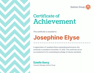 premium  Template: White Teal Pattern Certificate of Achievement Template