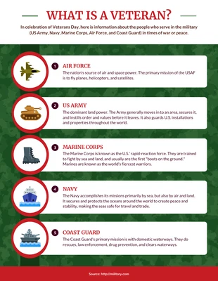 premium  Template: Veteran US Armed Forces Infographic Template