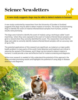 Free  Template: White Yellow Fun School Science Newsletter Template