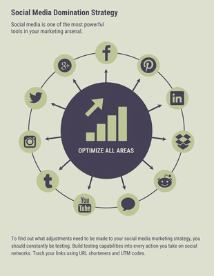 premium  Template: Social Media Strategy Process Document Infographic Template