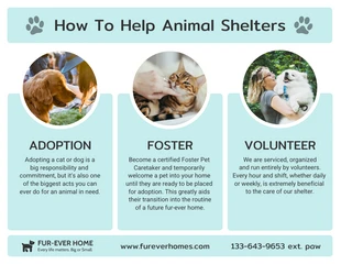 Free  Template: Animal Shelter Awareness Nonprofit Infographic Template