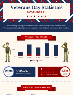 premium  Template: Icon Veterans Day Statistic Infographic Template