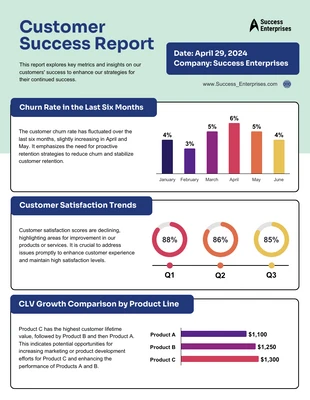 Free  Template: Customer Success Report Template