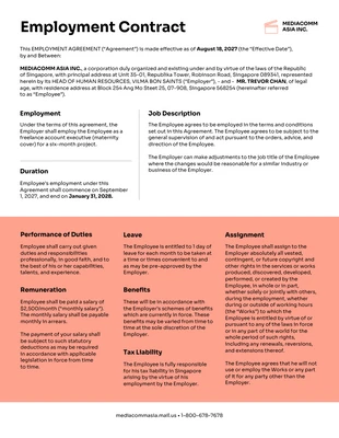 Free  Template: Standard Employment Agreement Template