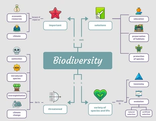 premium  Template: Simple Biodiversity Biology Concept Map Template