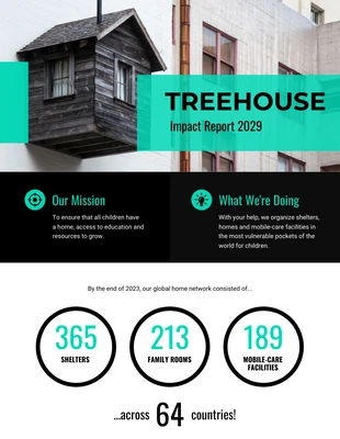 business  Template: Nonprofit Impact Report Template