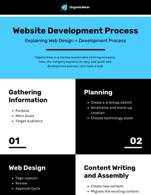 premium  Template: Website Design Process Infographic Template