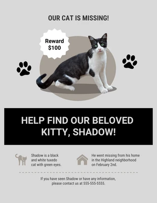 Free  Template: Athens Gray Missing Cat Flyer Template