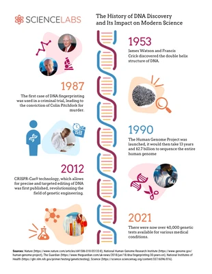 premium  Template: History of DNA Discovery Timeline Infographic Template