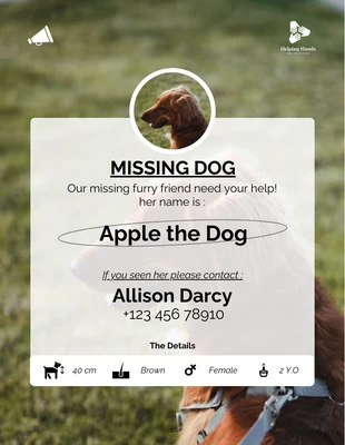 Free  Template: Photo Background Helping to Find a Lost Dog Poster