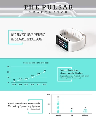 business  Template: Tech Market Segment Report Template