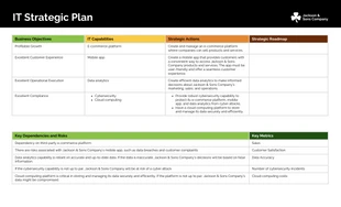 Free  Template: IT Strategic Initiative Plan Template