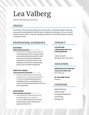 business  Template: Marketing Executive Resume Template