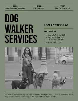 Free  Template: Battleship Gray Dog Walker Service Flyer Template