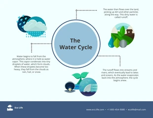 premium  Template: The Water Lifecycle Ecosystem Infographic Template