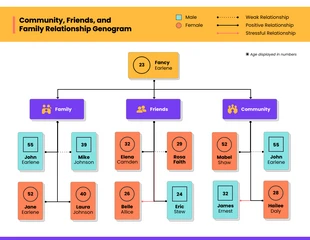 Free  Template: Community Relationship Genogram Template