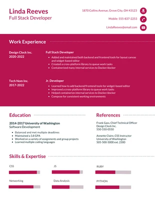 premium  Template: Bold Vibrant Brilliant Developer Resume Template