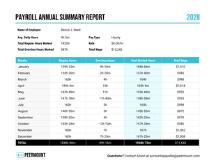 business accessible Template: Annual Payroll Report Template