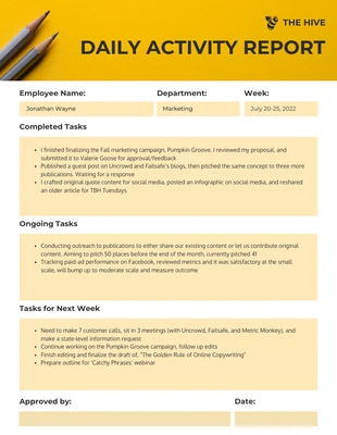 premium  Template: Employee Daily Activity Report Format Template