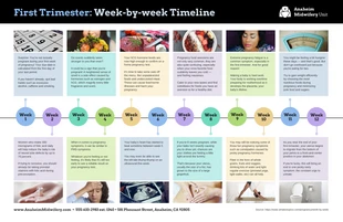 business  Template: Trimester Pregnancy Health Care Timeline Infographic Template