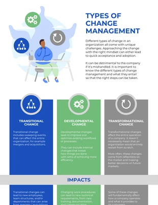 premium accessible Template: Types of Change Management Strategies Infographic Template