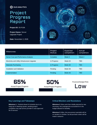 business  Template: Blue Project Summary Progress Report Template