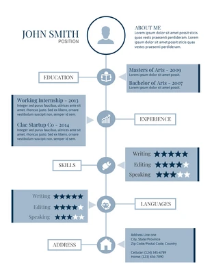 premium  Template: Steel Resume Format Template